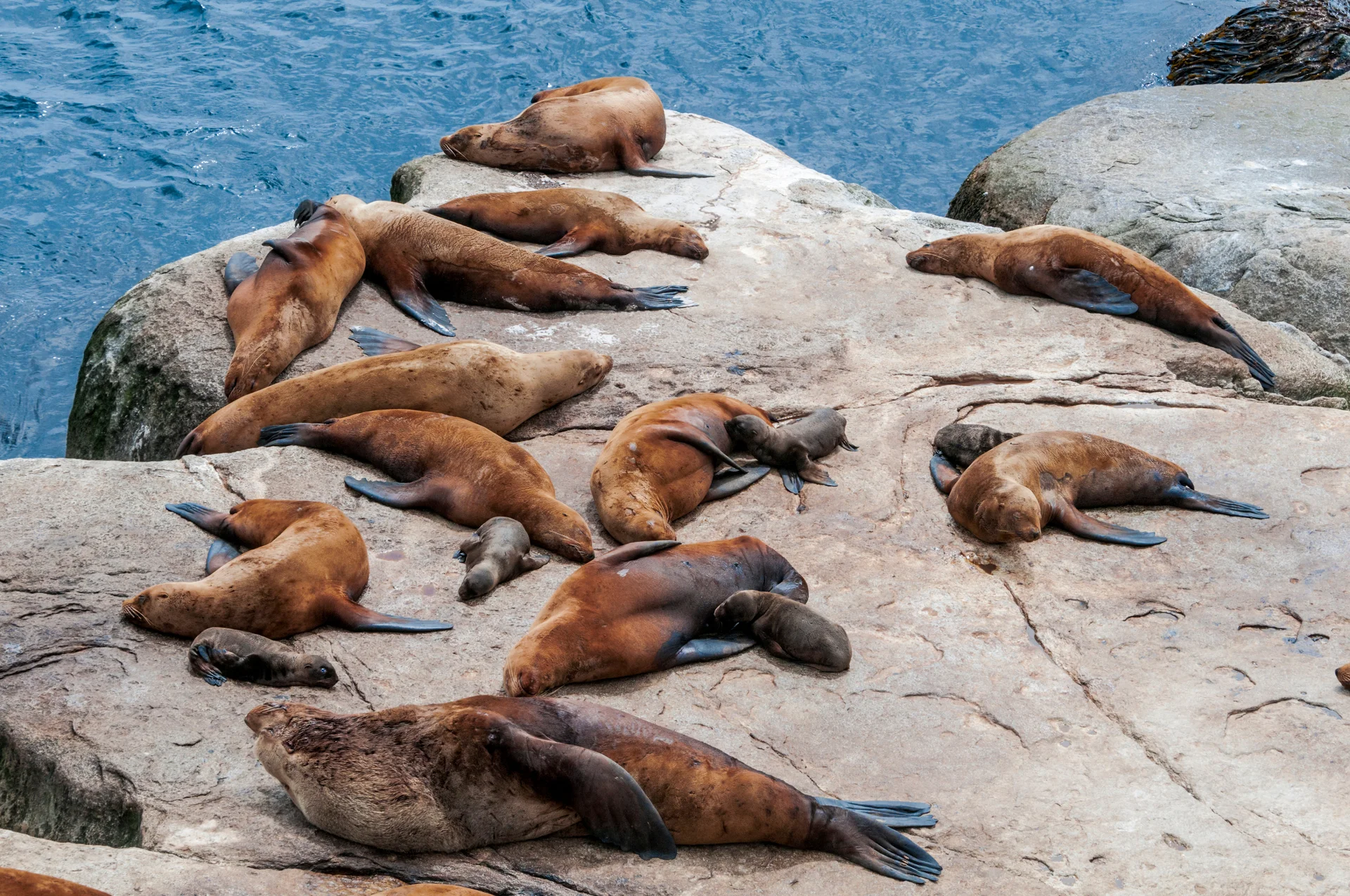 6 день.
Скалы-Ловушки —
Экарма — Шиашкотан