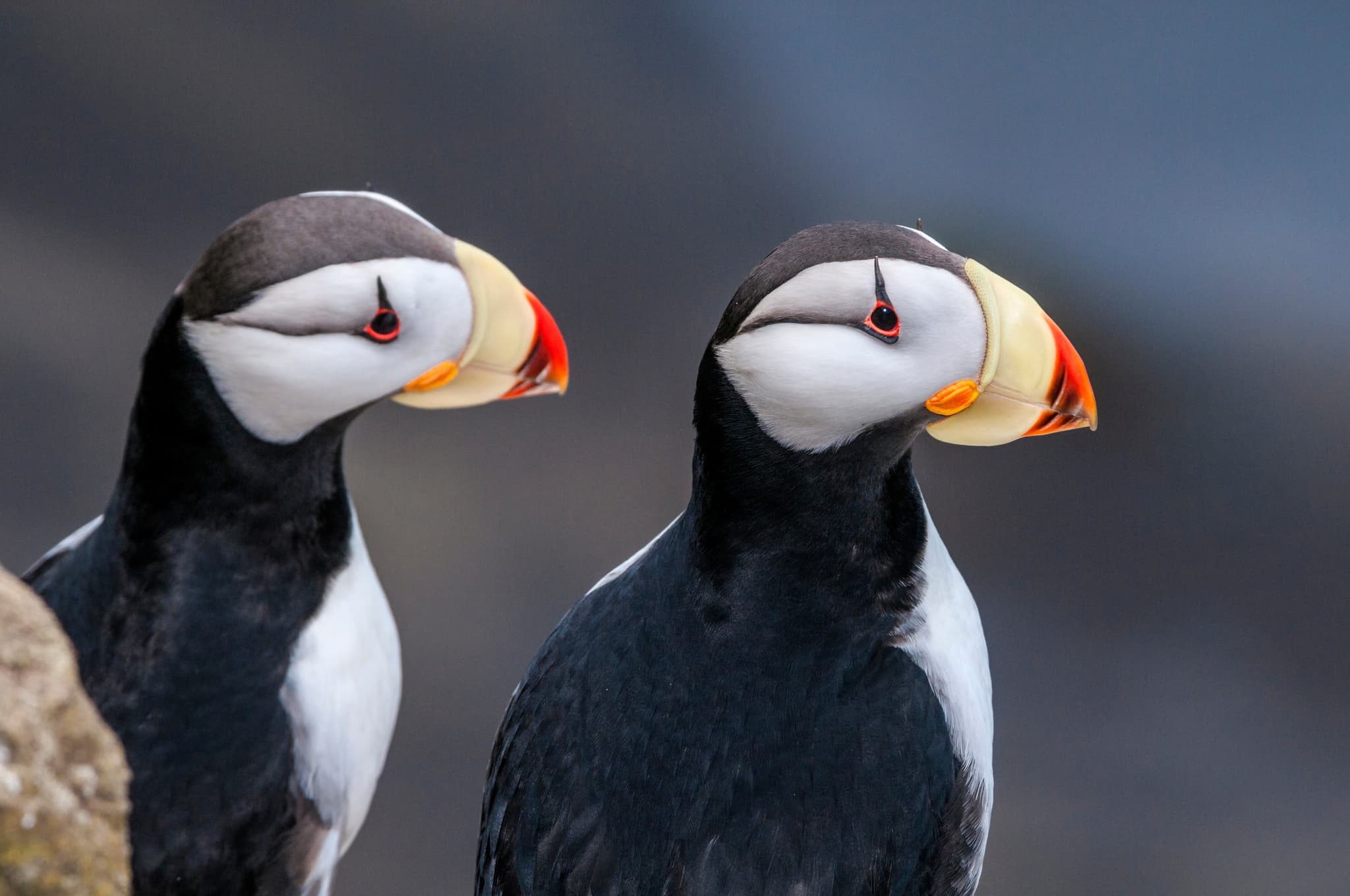 6 день.
Скалы-Ловушки —
Экарма — Шиашкотан